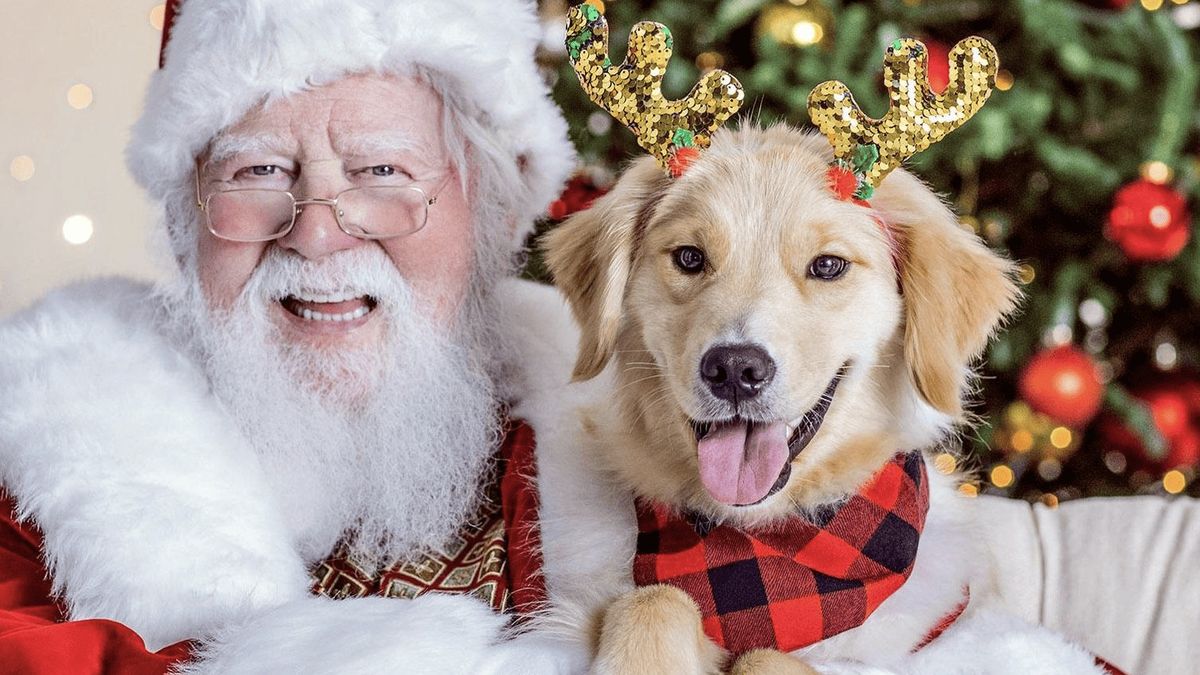 Healthy Pet Products FL Pet Pics with Santa