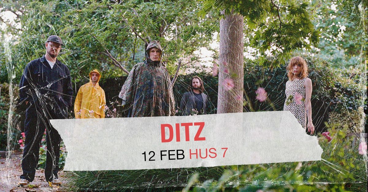 DITZ | Hus 7