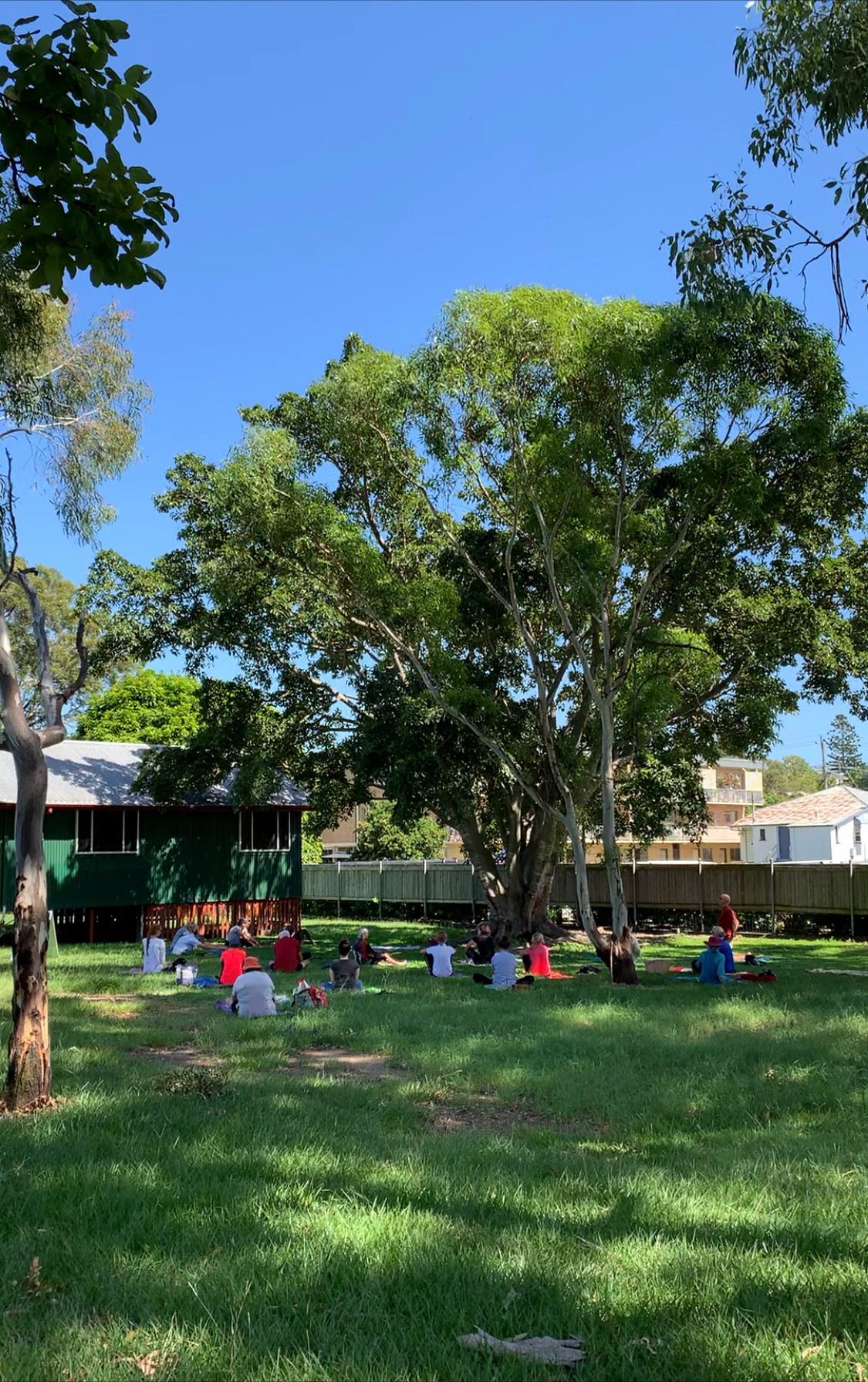 Free Yoga in Boyd Park