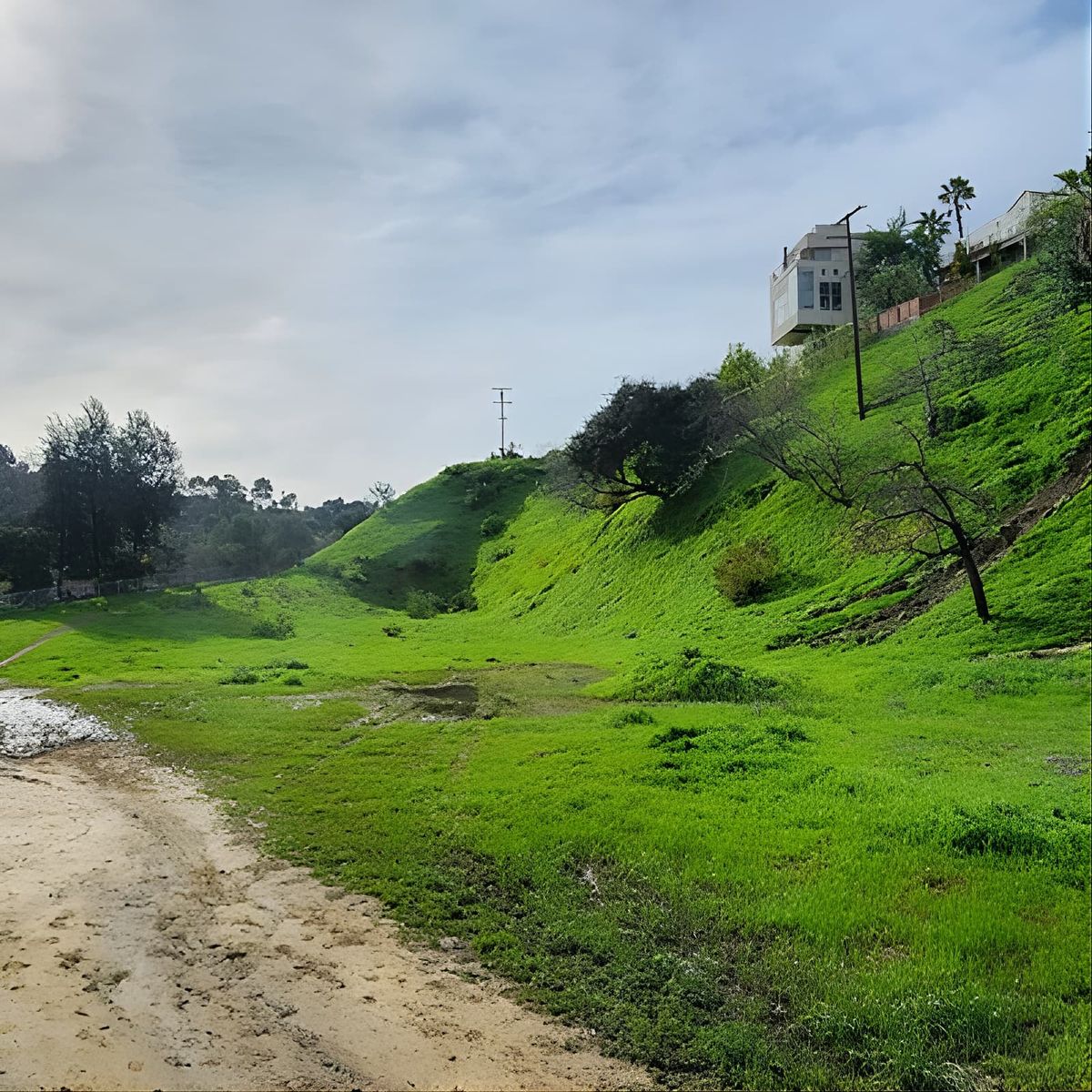 LA River Eco Tour and Secret Stair Hike