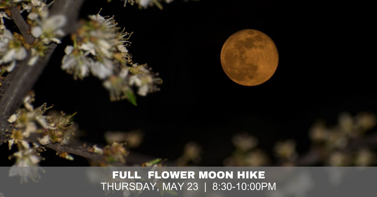 FULL MOON HIKE - Registration Required
