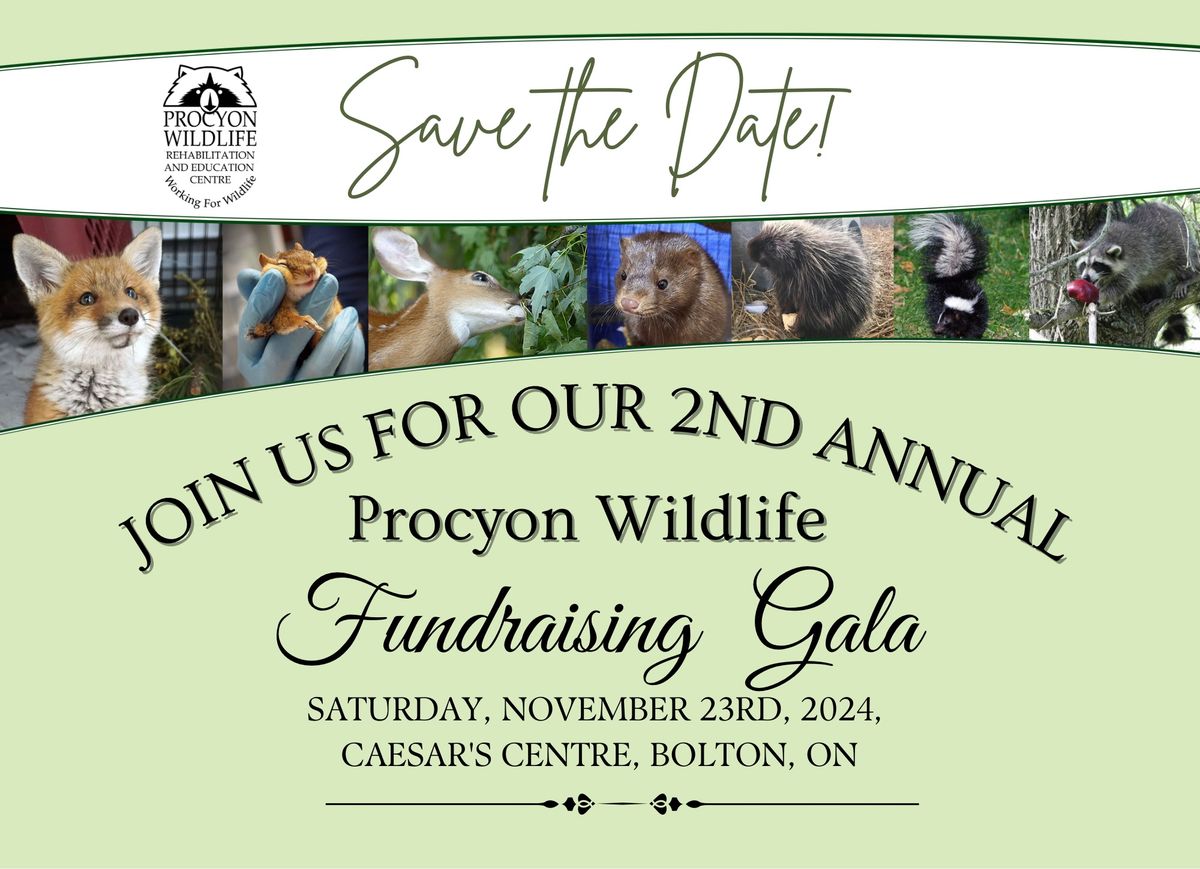 Second Annual Procyon Wildlife Fundraising Gala