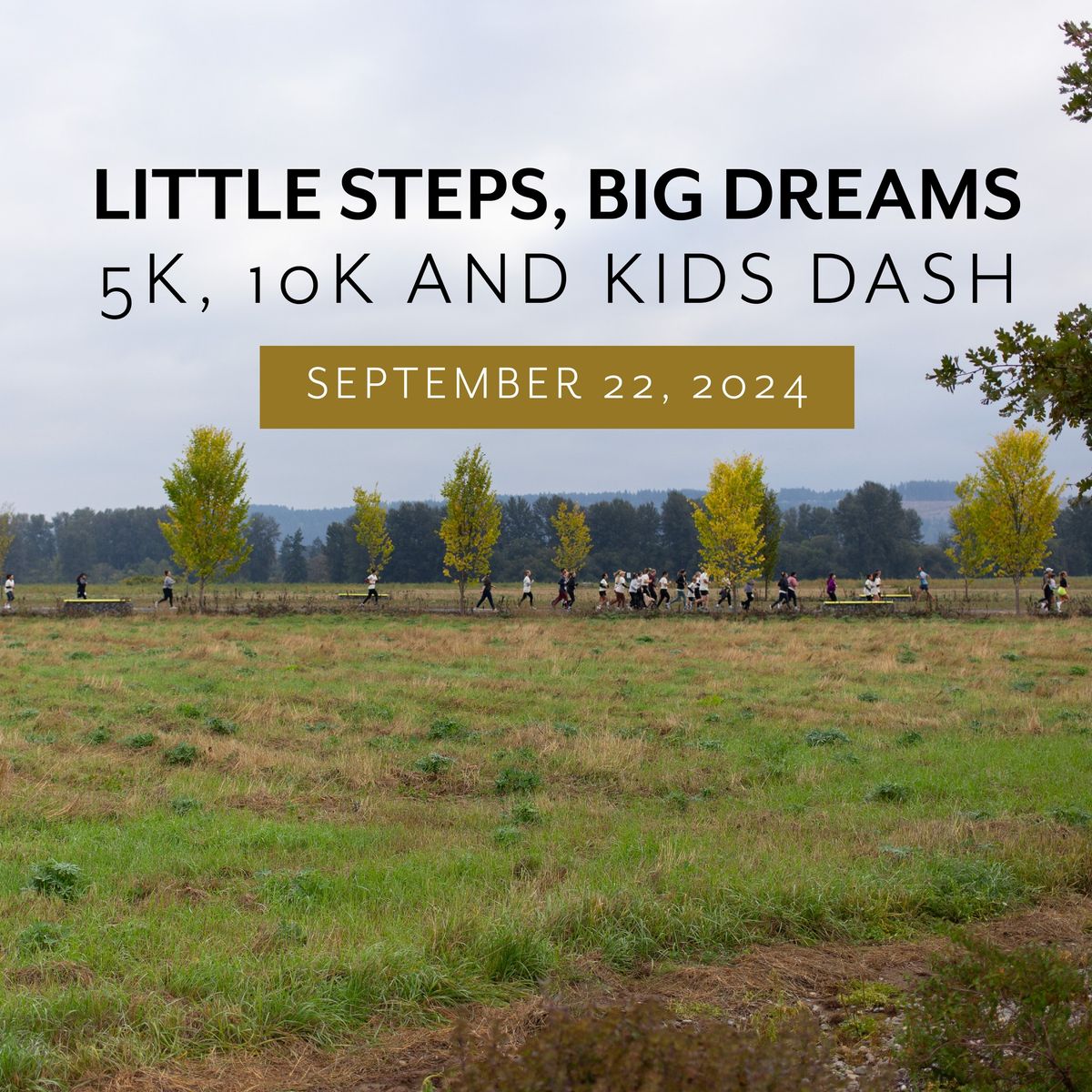 Little Steps, Big Dreams Race