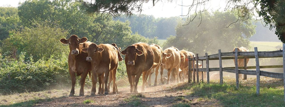 SALON DE L'AGRICULTURE NOUVELLE AQUITAINE 2025