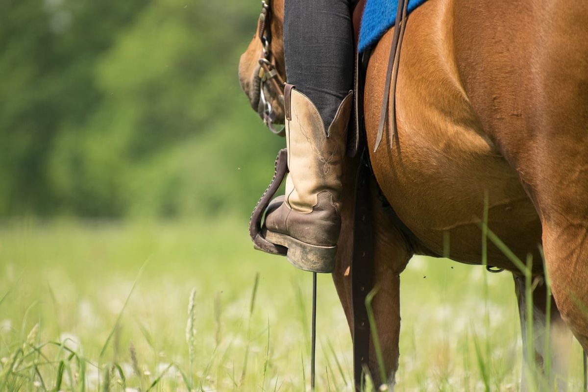 Westernreitkurs  mit Stefan Hasenstab