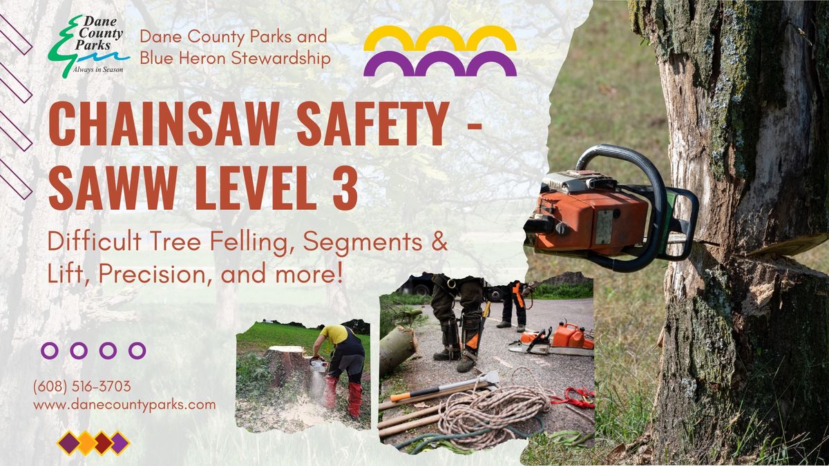 Chainsaw Safety Courses - SAWW Level 3