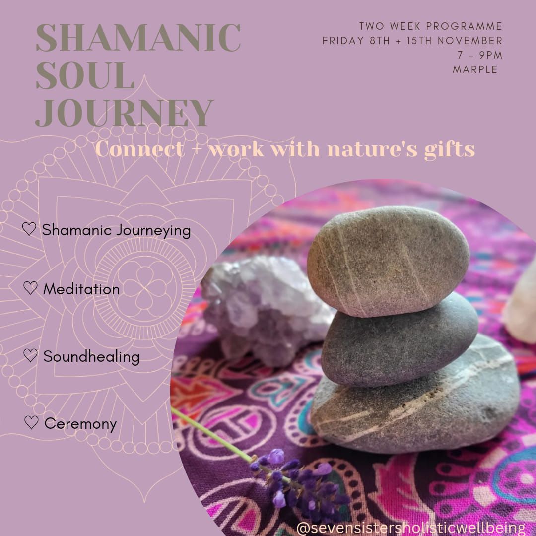 Shamanic Soul Journey \u2661 connect + work with nature's gifts 