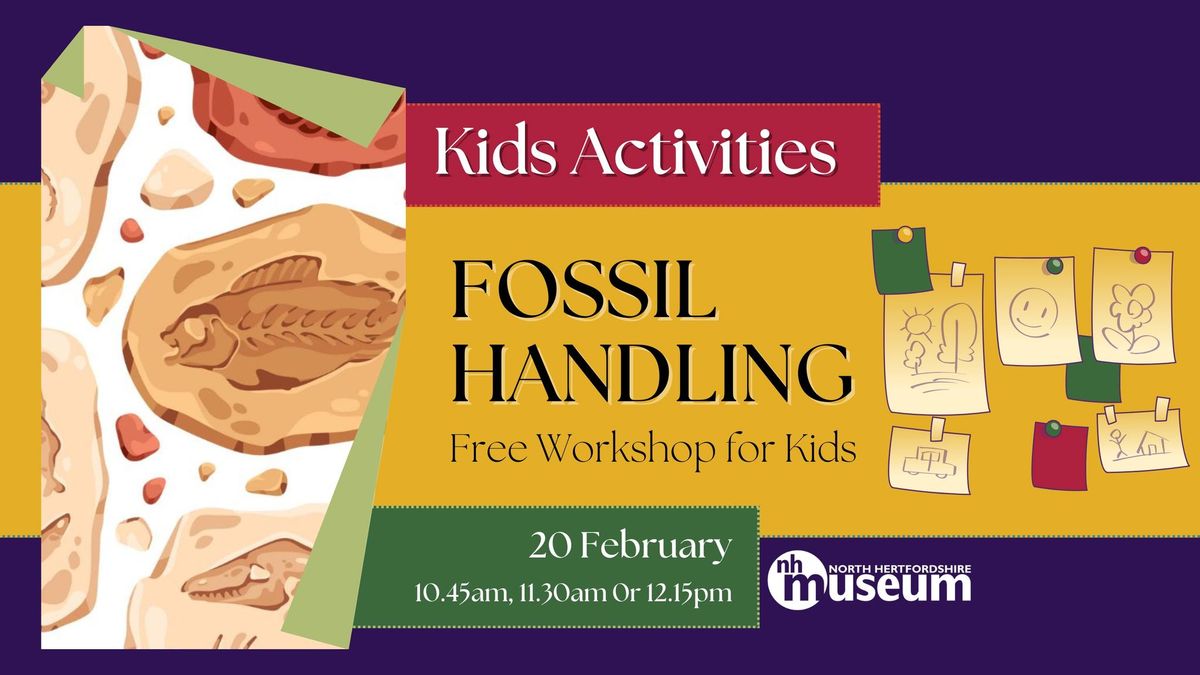 Fossil Handling - Free Kids Workshop