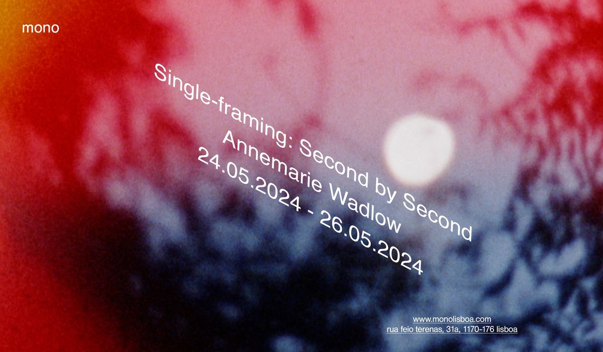 0077 - single-framing: second by second