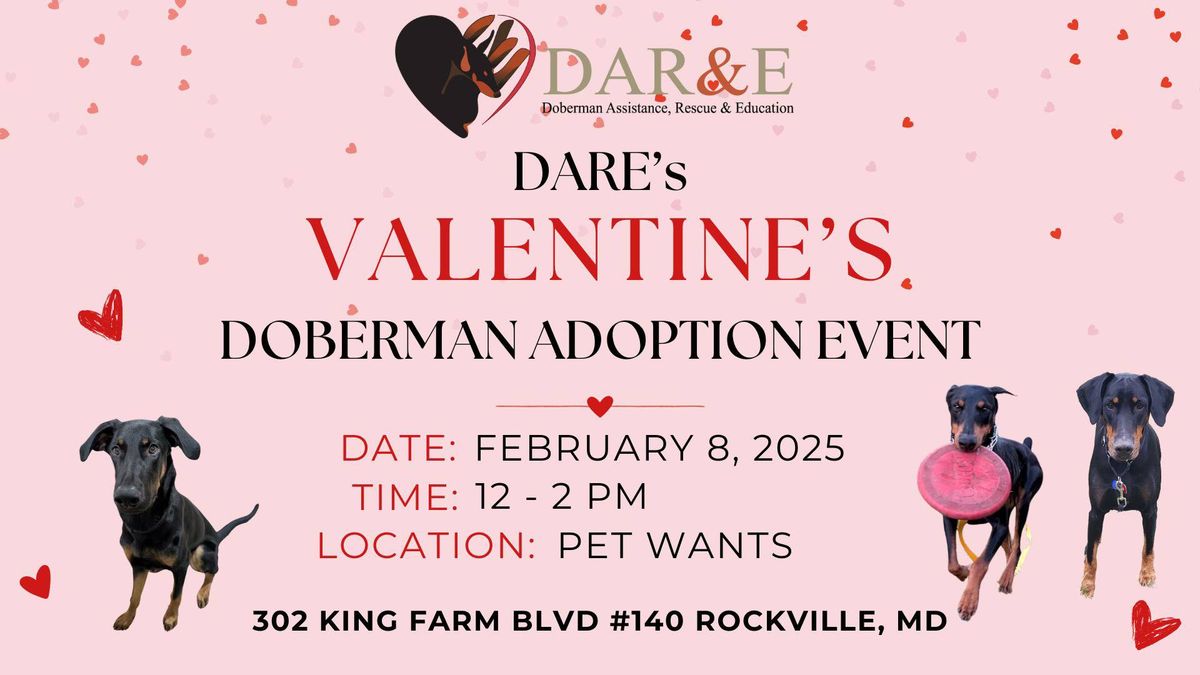 Valentine's Adoption Event - Rockville, MD