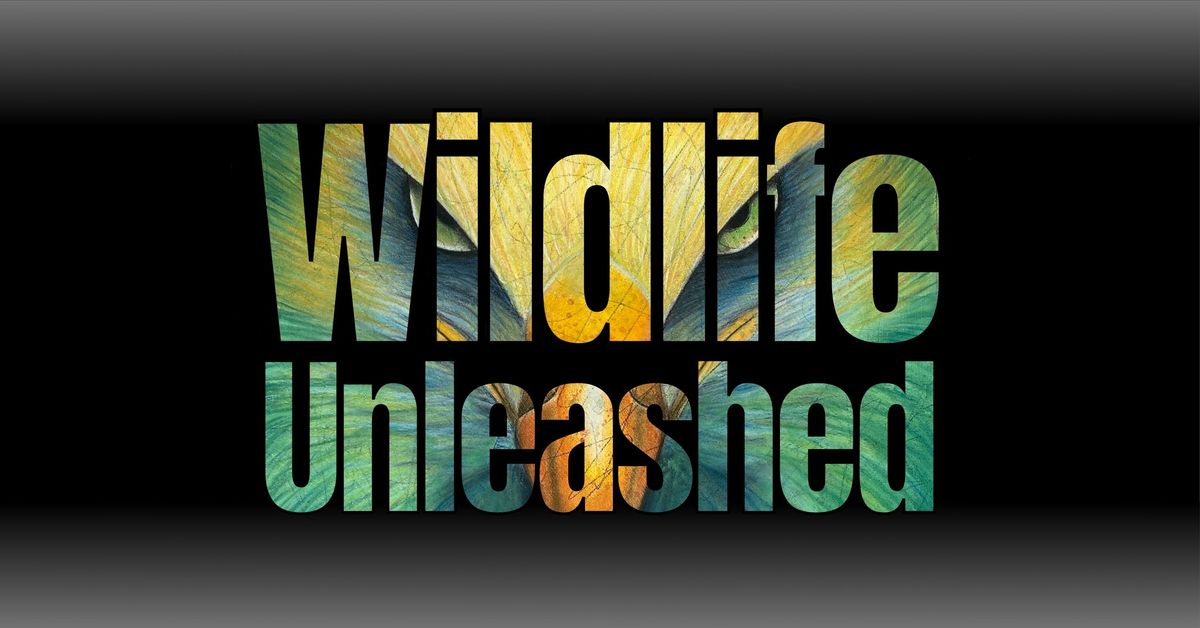 Wildlife Unleashed : Solo Art Exhibition By Anne Bardsley