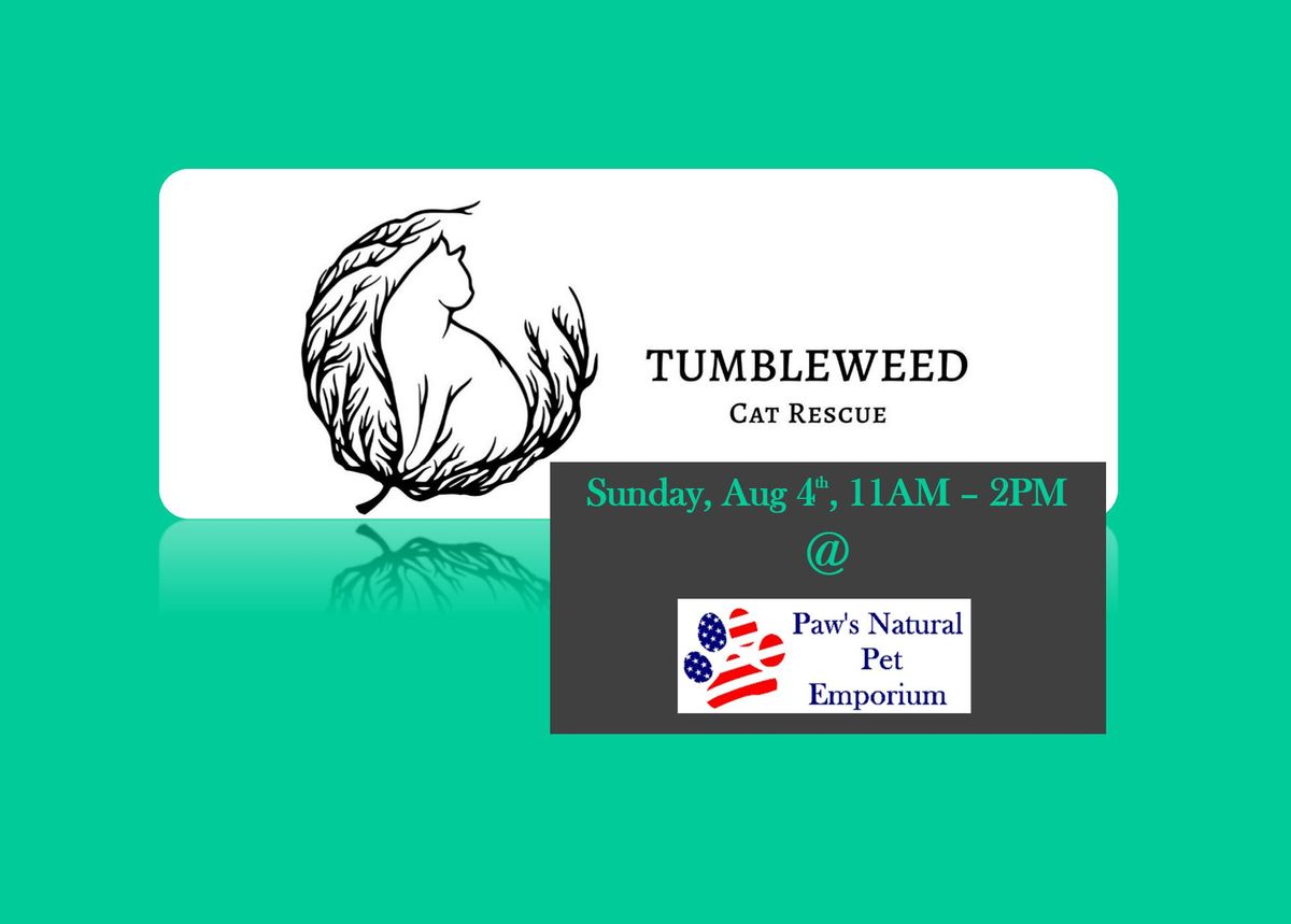 Cat Adoptions - Tumbleweed Cat Rescue