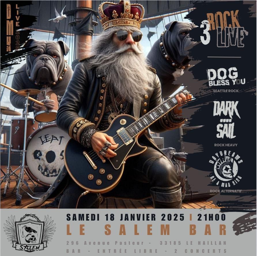 CONCERT 3 GROUPES DARKSAIL - DAYDREAMS OF A MAD KING - DOG BLESS YOU