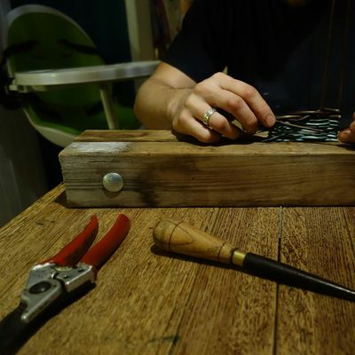 Woven Willow Wonders Ltd