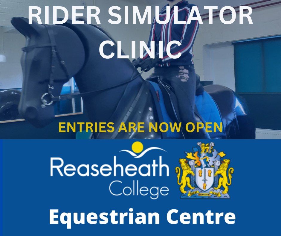 Riding Simulator Clinic