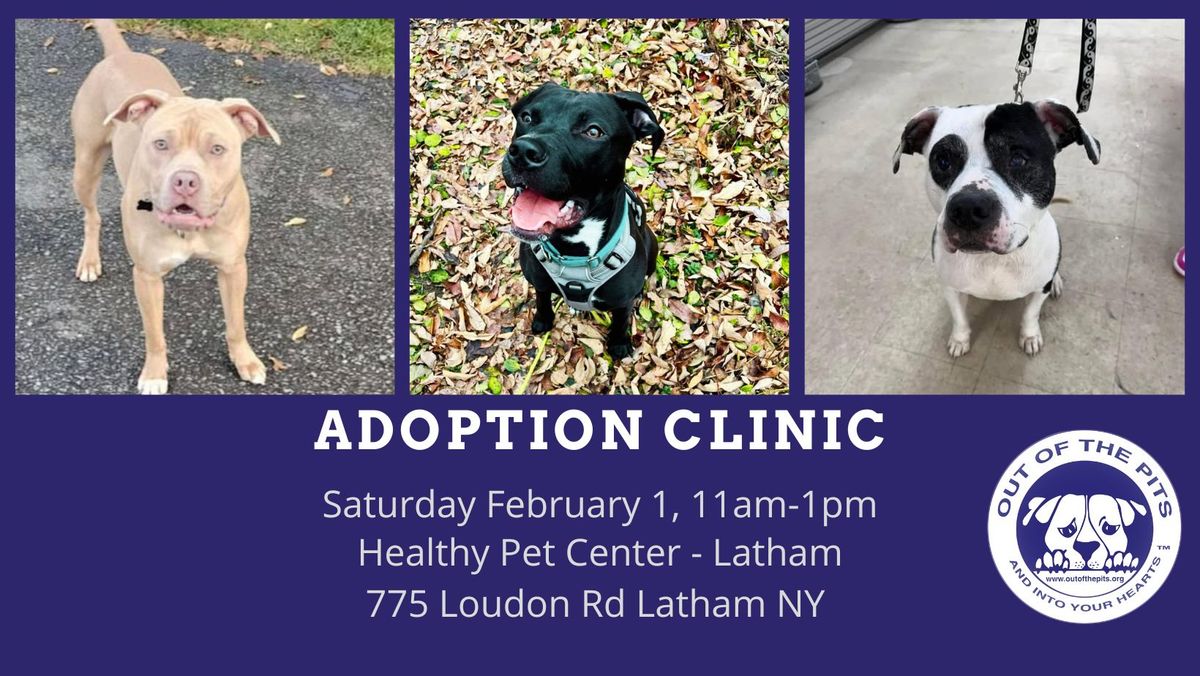 OOTP Adoption Clinic