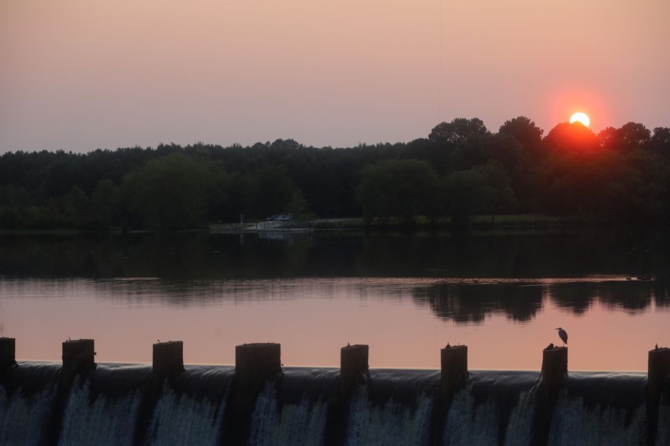 Wiggins Mill Park Info Session 