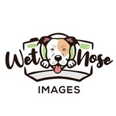 Wet Nose Images - Halifax Dog Photographer