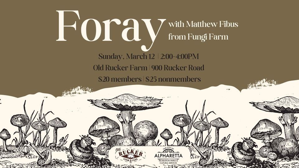 Foray