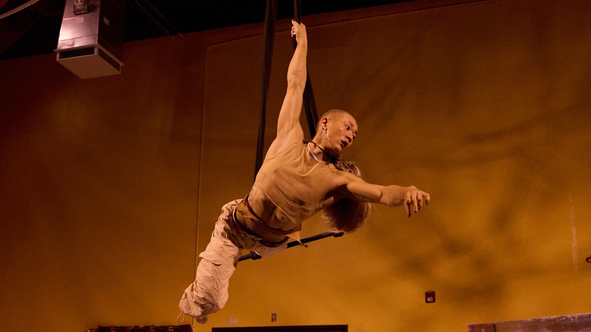 Circus as a Verb and Its Relationship to Aerial Dance Workshop