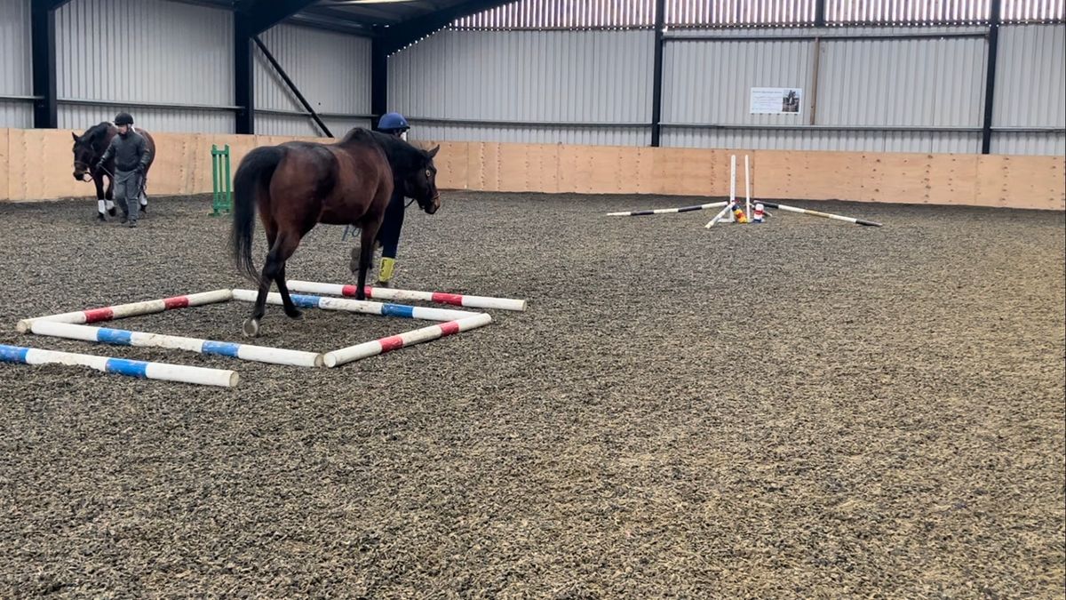 Crabbick Farm In Hand Polework Clinic (walk only)