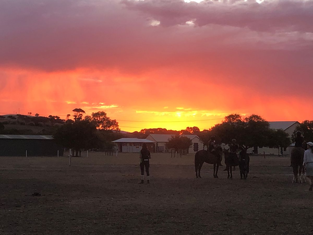 May Rally Being Held at The Adelaide Equestrian Festival