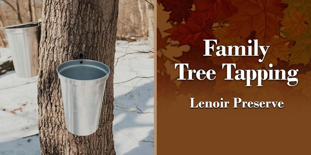 Family Maple Tapping