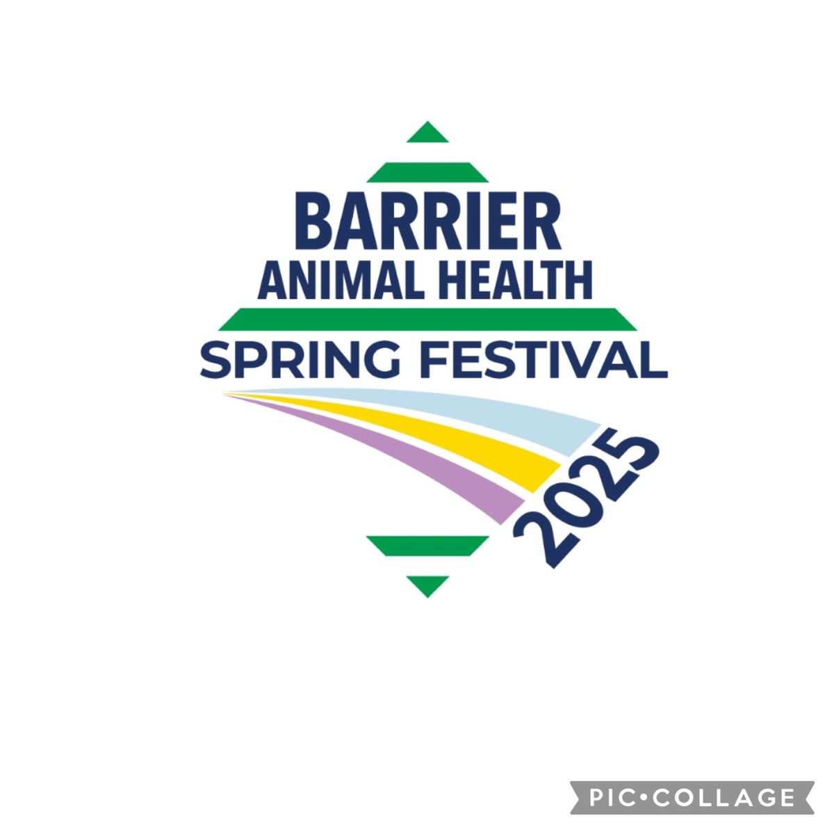 AREA 6 SHOWJUMPING BARRIER ANIMAL HEALTH SPRING FESTIVAL