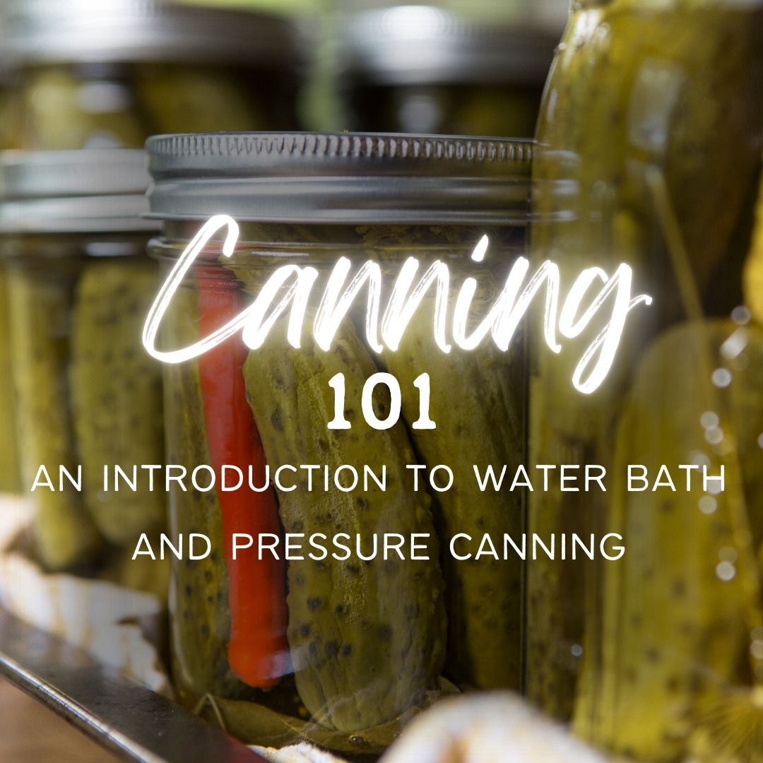 Introduction to Canning: Fig Jam and Pears\n\n