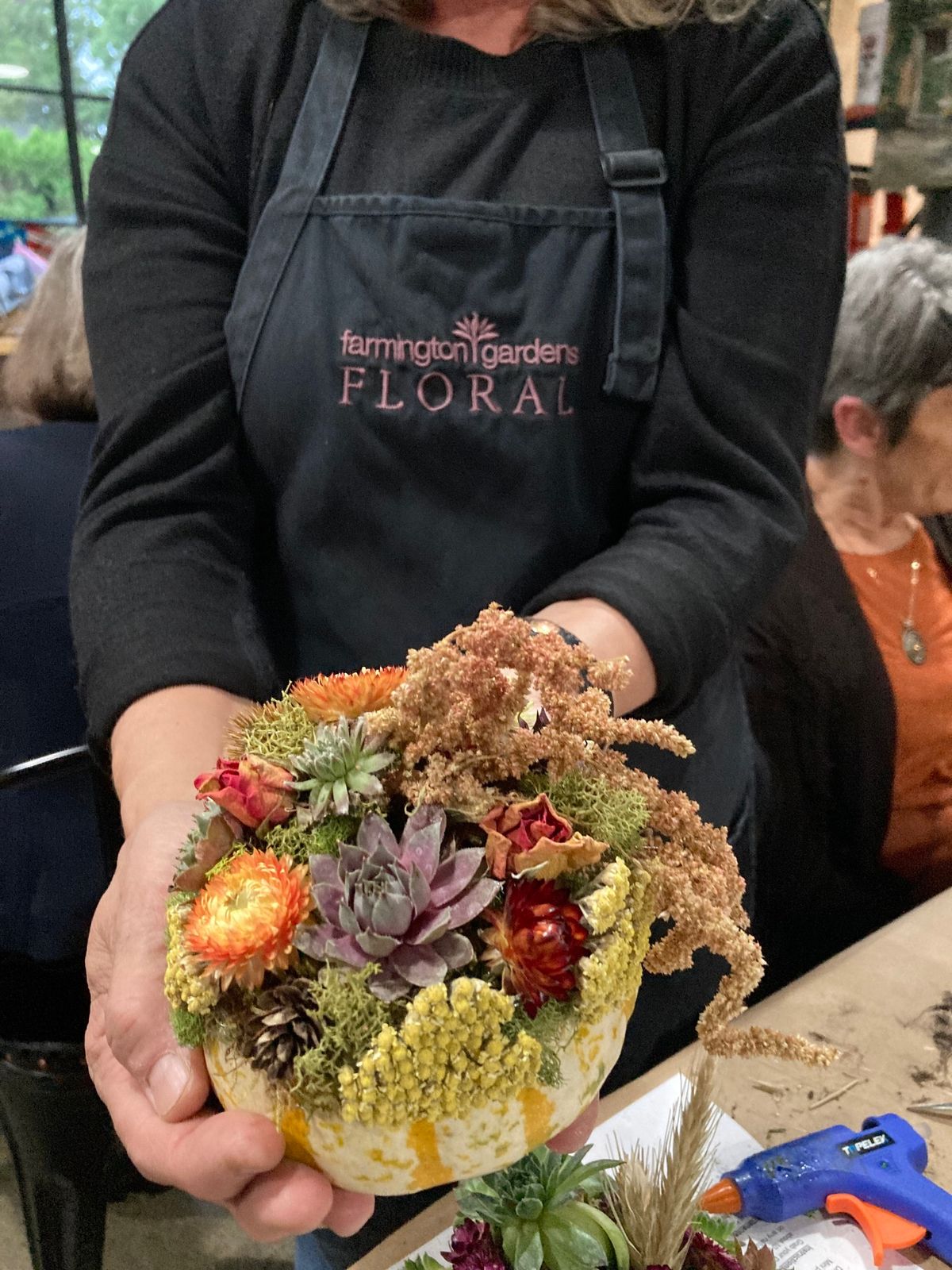 Pumpkin Succulent Class 