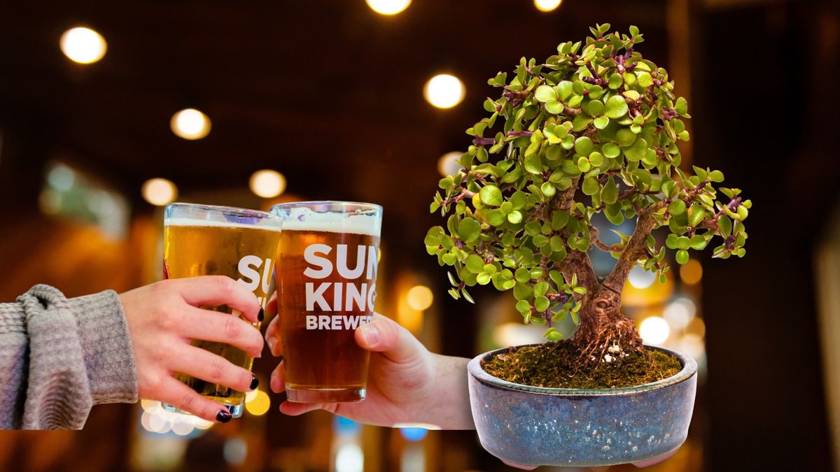 Bonsai & Brews at Sun King Brewing Sarasota