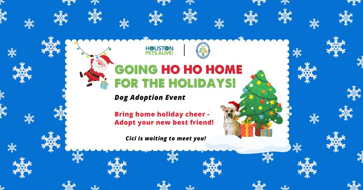 Going HO HO HOME for the Holidays Dog Adoption Event