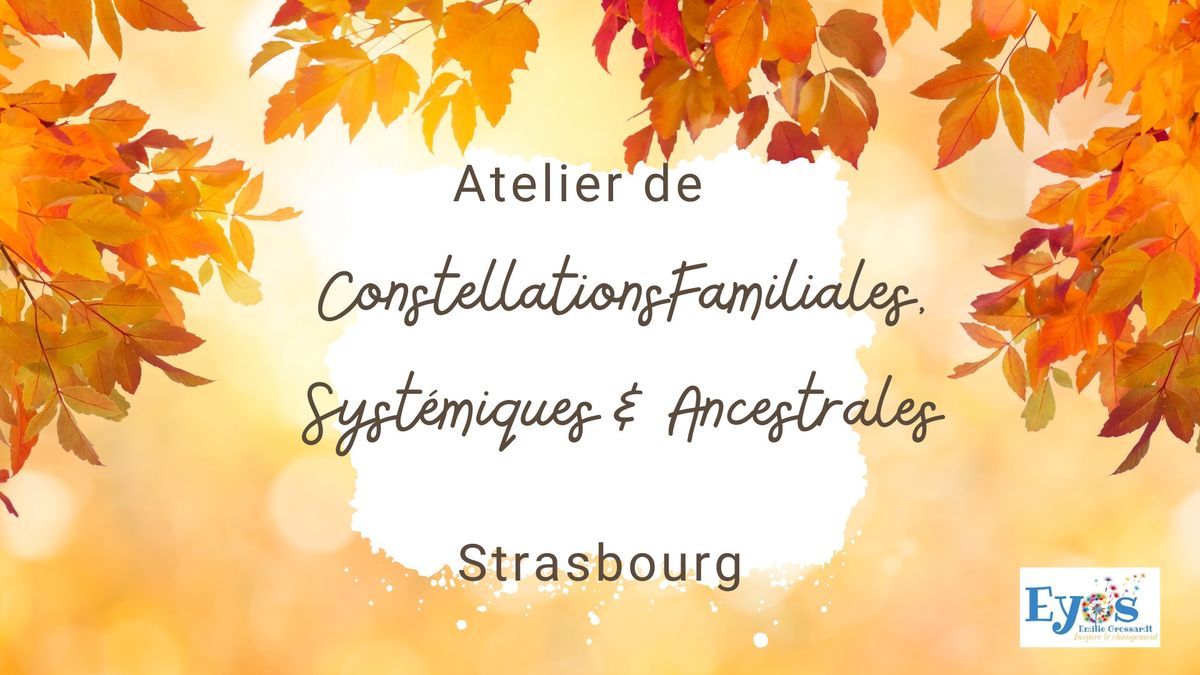 Atelier de Constellations Familiales, Syst\u00e9miques et Ancestrales