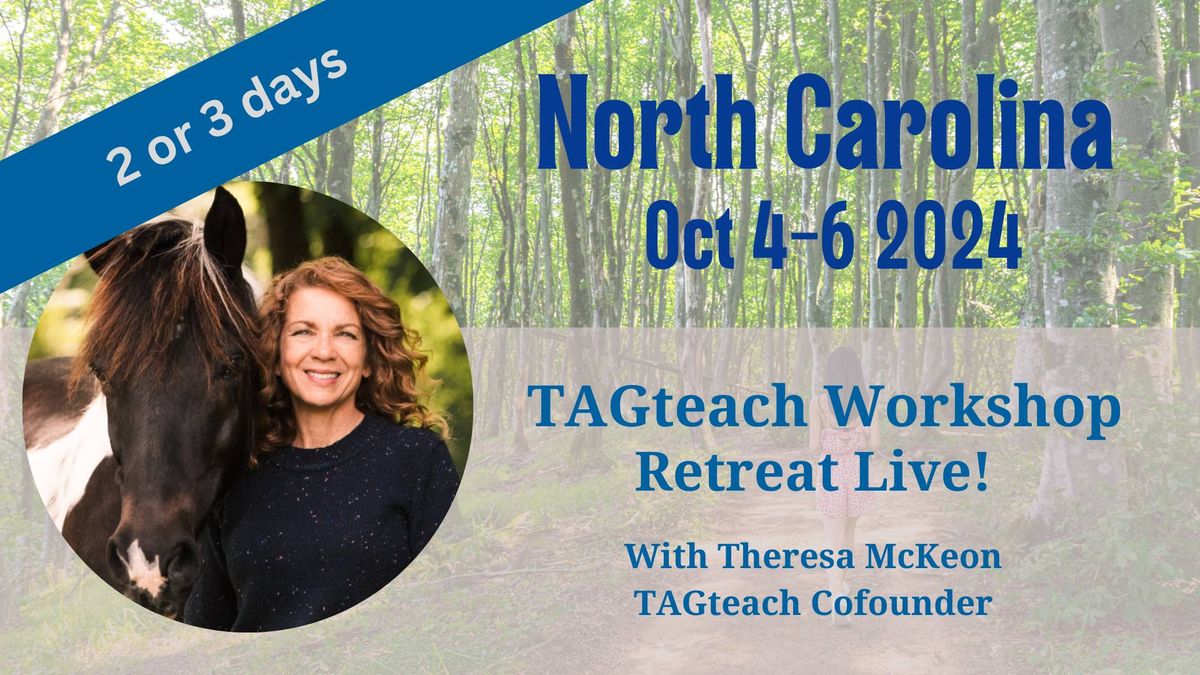 TAGteach Workshop Retreat Live with Theresa McKeon