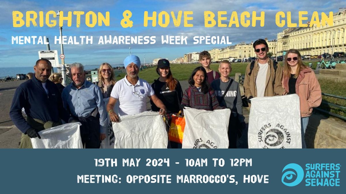Brighton and Hove SAS beach clean - MHA week special