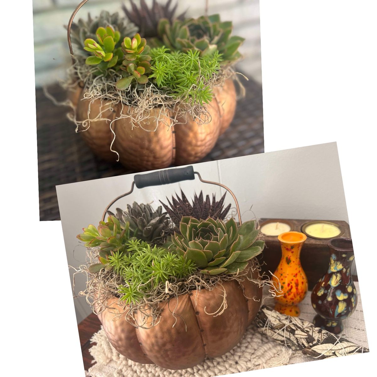 Succulent Pumpkin Porch Pot