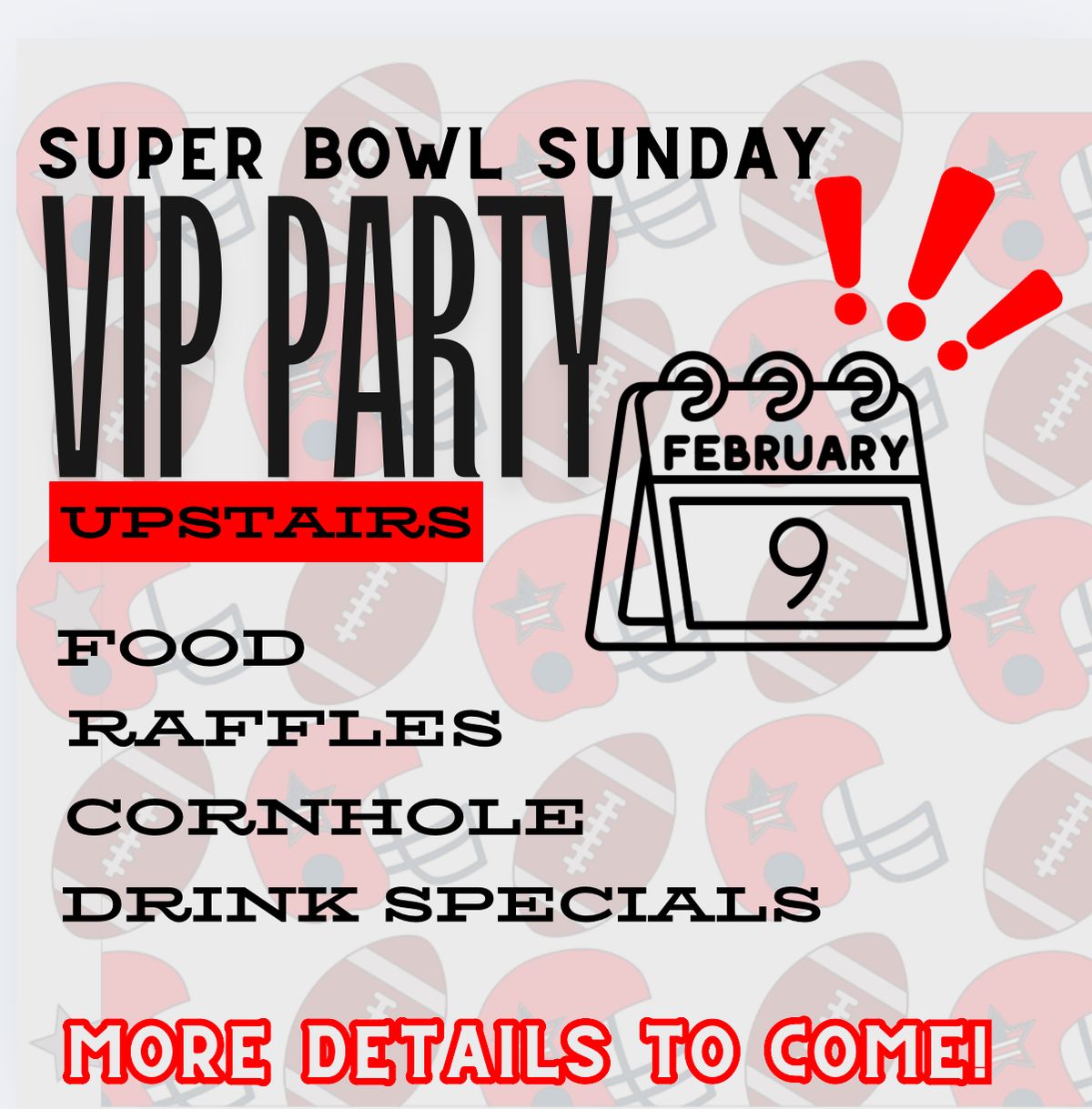 Super Bowl VIP Party!