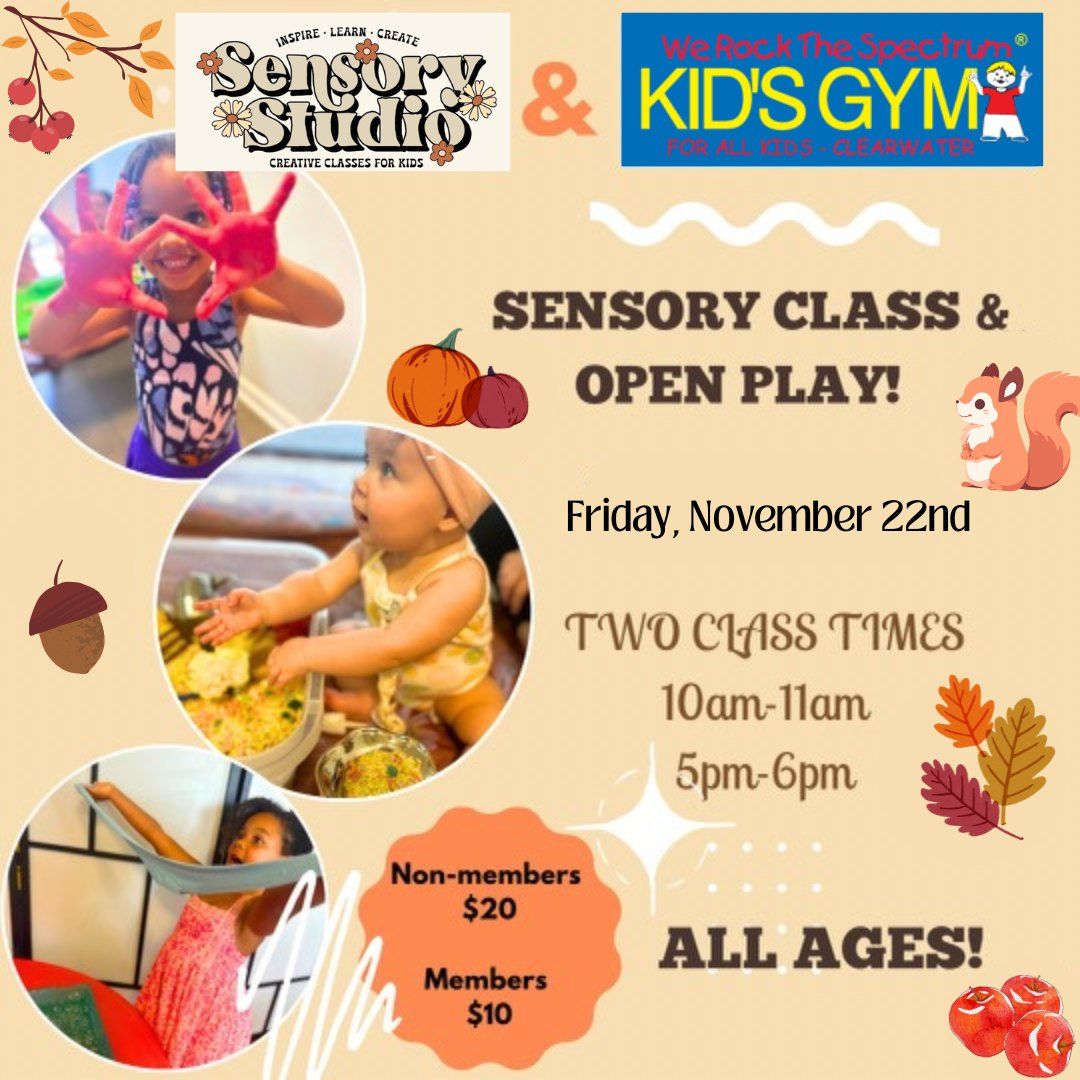 Sensory Play Class