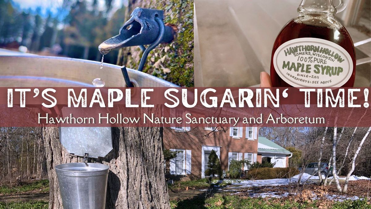 It's Maple Sugarin' Time!