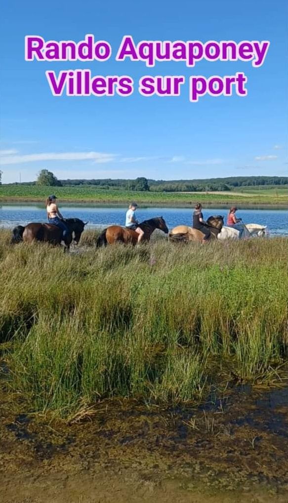 Aquaponey Villers sur port Randonn\u00e9e avec Baignade