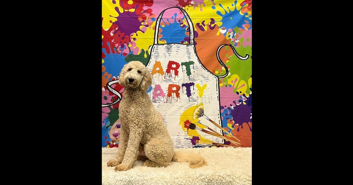 Barks & Crafts Lodging Party