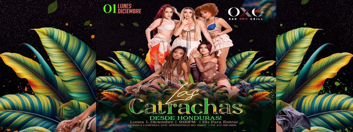 LAS CATRACHAS DESDE HONUDRAS