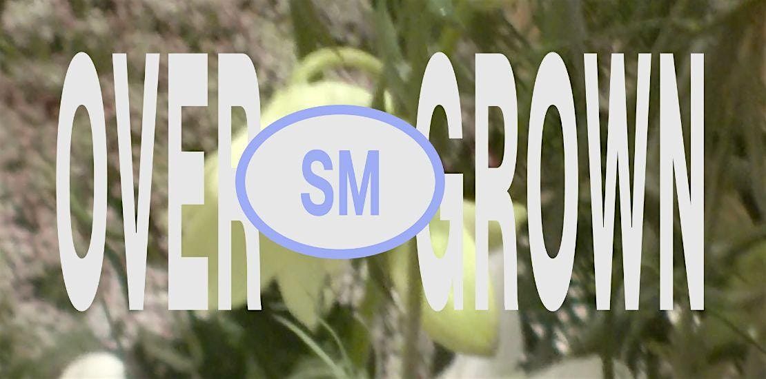 Overgrown: Forest Floor, Sensory Still Life