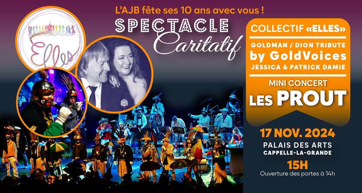 SPECTACLE CARITATIF AJB