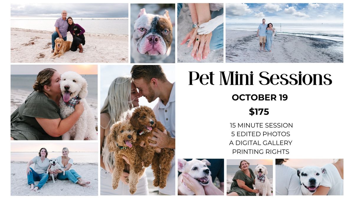 Fall Pet Mini Photo-Session Day