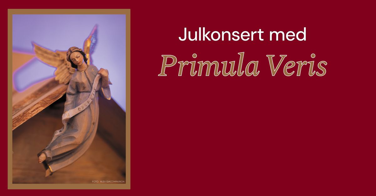 Julkonsert med Primula Veris