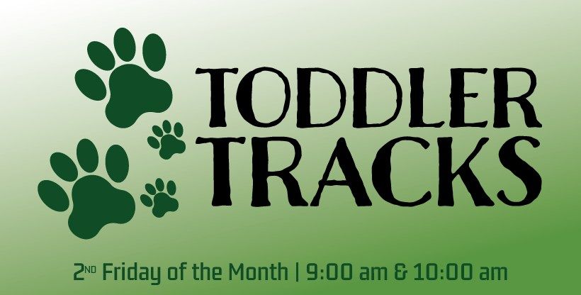 Toddler Tracks