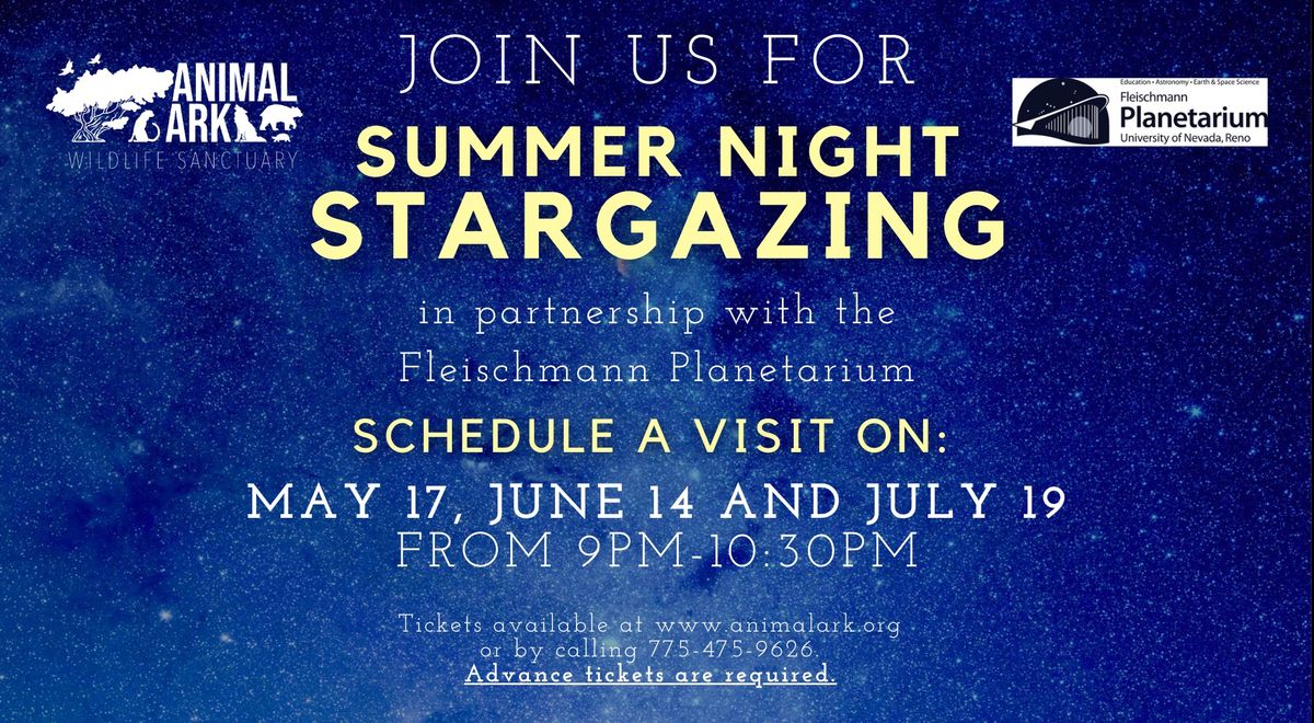 Summer Night Stargazing