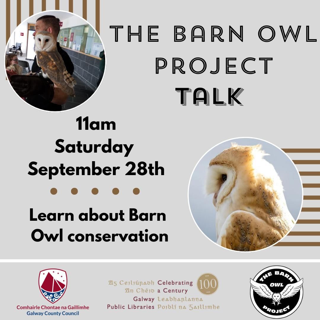 The Barn Owl Project Talk