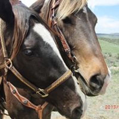 Boulder County Horse Association